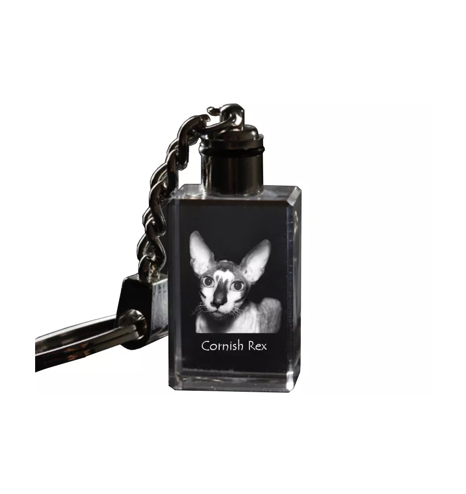 Cornisch Rex - Kristall-Anhänger mit Katzenfoto, beleuchteter Anhänger, einzigartiges Geschenk der Marke Art-Dog
