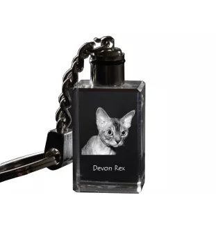 Devon Rex - Kristall-Anhänger mit Katzenfoto, beleuchteter Anhänger, einzigartiges Geschenk der Marke Art-Dog