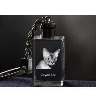 Devon Rex - Crystal pendant with cat photo, illuminated pendant, unique gift by Art-Dog brand