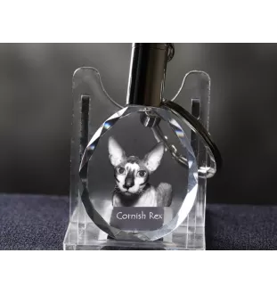 Cornisch Rex - Fob with cat photo, crystal key ring in gift box, unique gift by Art-Dog brand