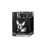 Cornish Rex - Bougeoir avec photo de chat, porte bougie en cristal, cadeau personnalisé par la marque Art-Dog