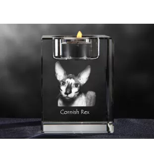 Cornisch Rex - Kerzenhalter mit Katzenfoto, Teelichthalter aus Kristall, personalisiertes Geschenk der Marke Art-Dog