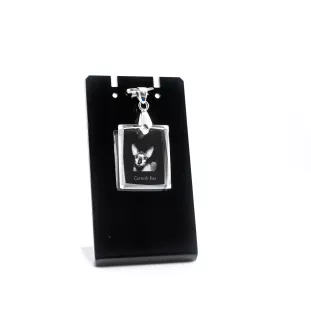 Cornisch Rex - Crystal cat pendant, photo necklace, unique jewellery by Art-Dog