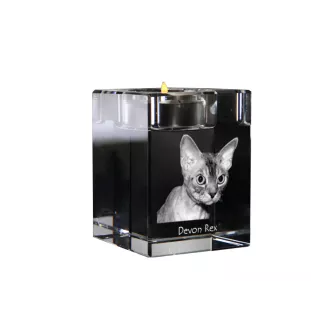 Devon Rex - Kerzenhalter mit Katzenfoto, Teelichthalter aus Kristall, personalisiertes Geschenk der Marke Art-Dog