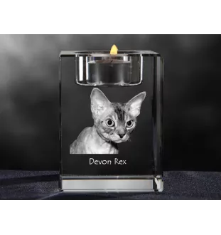Devon Rex - Kerzenhalter mit Katzenfoto, Teelichthalter aus Kristall, personalisiertes Geschenk der Marke Art-Dog