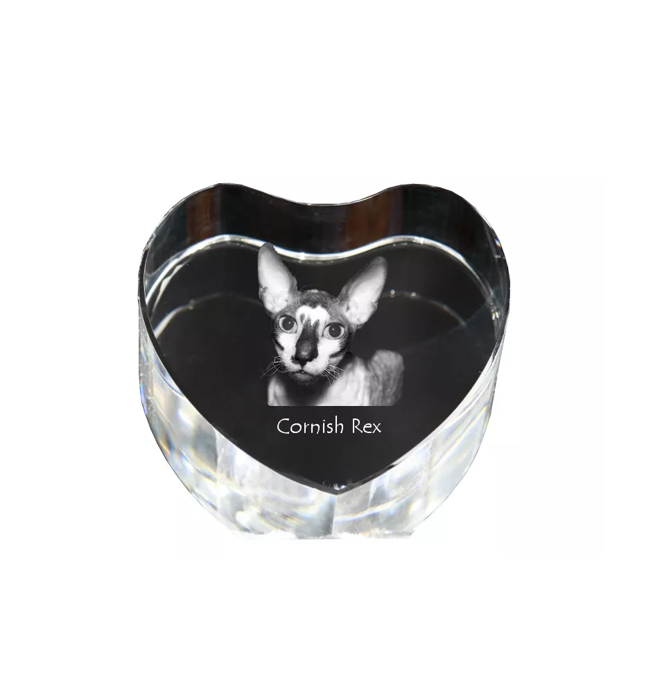 Cornish Rex - crystal clock with a picture of a cat, heart-shaped shelf clock, personalized standing clock by Art-Dog brand