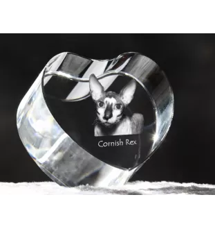 Cornisch Rex - Kristalluhr mit Katzenbild, Herzregal-Uhr, personalisierte Standuhr von Art-Dog.