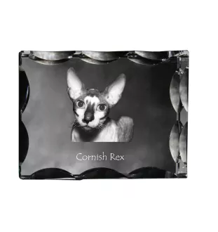 Cornish Rex - cristal avec une photo de chat, une statuette en verre avec une photo, un cadre exceptionnel avec une photo de la marque Art-Dog