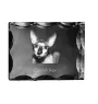 Cornish Rex - crystal with a cat picture, glass statuette with a picture, unique frame with a picture from Art-Dog brand