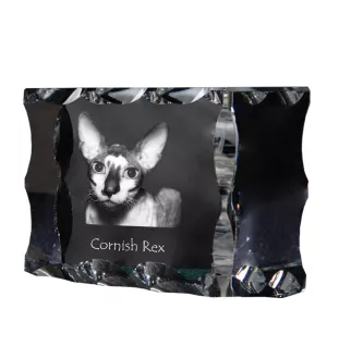 Cornish Rex ramka kryształowa z kotem Art-Dog