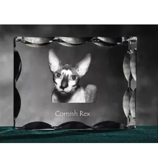 Cornish Rex - cristal avec une photo de chat, une statuette en verre avec une photo, un cadre exceptionnel avec une photo de la marque Art-Dog