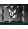 Cornisch Rex - Kristall mit Katzenbild, Glasstatuette mit Bild, einzigartiger Bilderrahmen der Marke Art-Dog