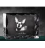 Cornish Rex - cristal avec une photo de chat, une statuette en verre avec une photo, un cadre exceptionnel avec une photo de la marque Art-Dog