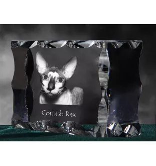 Cornisch Rex - Kristall mit Katzenbild, Glasstatuette mit Bild, einzigartiger Bilderrahmen der Marke Art-Dog