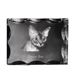 Devon Rex - crystal with a cat picture, glass statuette with a picture, unique frame with a picture from Art-Dog brand