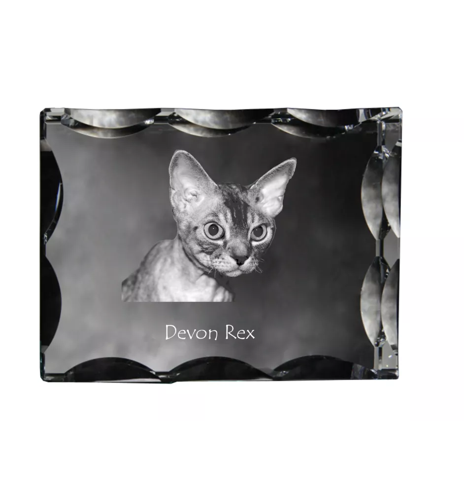 Devon Rex ramka kryształowa z kotem Art-Dog