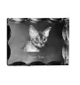 Devon Rex - cristal avec une photo de chat, une statuette en verre avec une photo, un cadre exceptionnel avec une photo de la marque Art-Dog