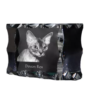 Devon Rex - cristal avec une photo de chat, une statuette en verre avec une photo, un cadre exceptionnel avec une photo de la marque Art-Dog
