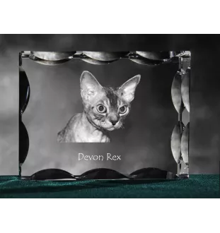Devon Rex - crystal with a cat picture, glass statuette with a picture, unique frame with a picture from Art-Dog brand