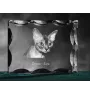 Devon Rex - crystal with a cat picture, glass statuette with a picture, unique frame with a picture from Art-Dog brand