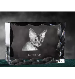 Devon Rex - crystal with a cat picture, glass statuette with a picture, unique frame with a picture from Art-Dog brand