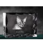 Devon Rex - crystal with a cat picture, glass statuette with a picture, unique frame with a picture from Art-Dog brand