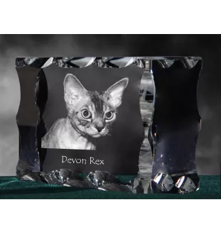 Devon Rex - cristal avec une photo de chat, une statuette en verre avec une photo, un cadre exceptionnel avec une photo de la marque Art-Dog