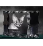 Devon Rex - Kristall mit Katzenbild, Glasstatuette mit Bild, einzigartiger Bilderrahmen der Marke Art-Dog