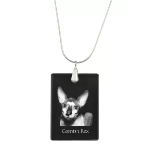 Cornish Rex - Crystal pendant with cat, silver necklace with photo, personalised pendant by Art-Dog brand