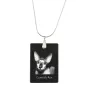 Cornisch Rex - Crystal pendant with cat, silver necklace with photo, personalised pendant by Art-Dog brand