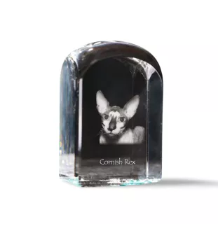 Cornish Rex - un cube en cristal avec une photo, une photo de chat dans le cristal, un presse-papiers cubique de la marque Art-Dog