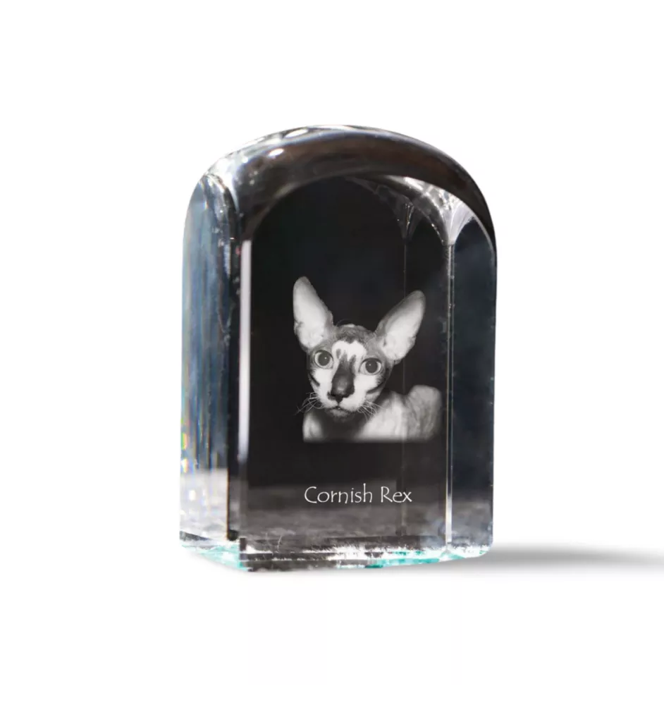 Cornish Rex - un cube en cristal avec une photo, une photo de chat dans le cristal, un presse-papiers cubique de la marque Art-Dog