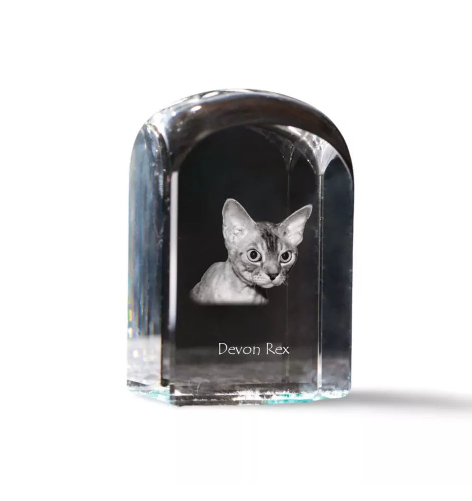 Devon Rex - Kristallwürfel mit Bild, Katzenbild im Kristall, sechseckiger Papierclip von der Marke Art-Dog