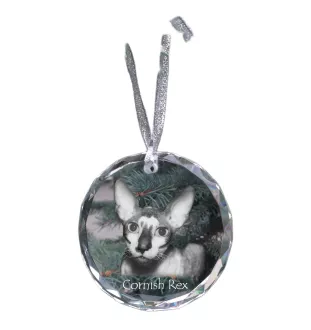 Cornish Rex - boule de Noël en cristal avec une photo, photo d'un chat dans le cristal, décoration personnalisée pour sapin de Noël de la marque Art-Dog