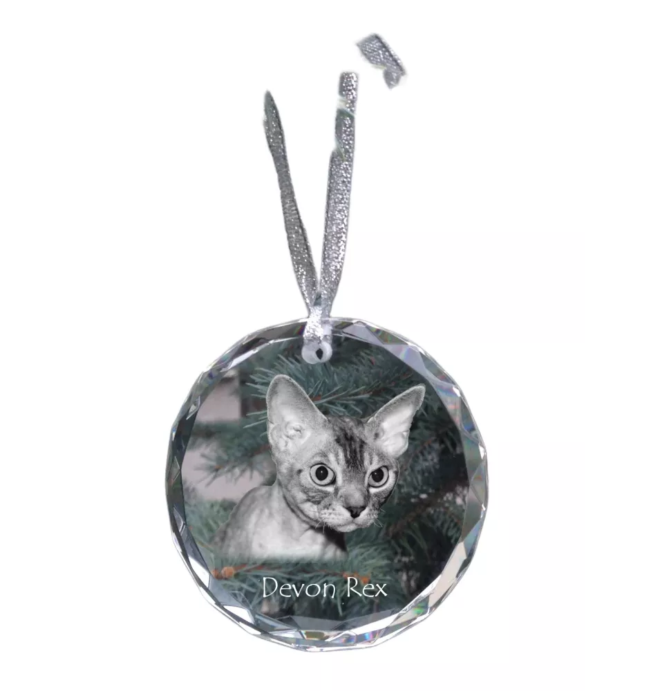 Devon Rex - Kristallkugel mit Foto, Katzenfoto im Kristall, personalisierter Weihnachtsbaumanhänger von Art-Dog.