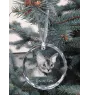 Devon Rex - boule de Noël en cristal avec une photo, photo d'un chat dans le cristal, décoration personnalisée pour sapin de Noël de la marque Art-Dog