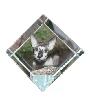 Cornish Rex kostka kryształowa z kotem Art-Dog