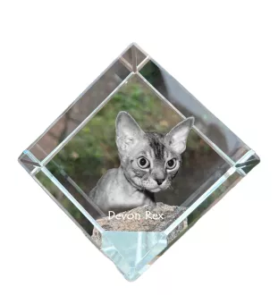 Devon Rex - un cube en cristal avec une photo de chat, une photo de cheval dans le cristal, un presse-papiers cubique de la marque Art-Dog