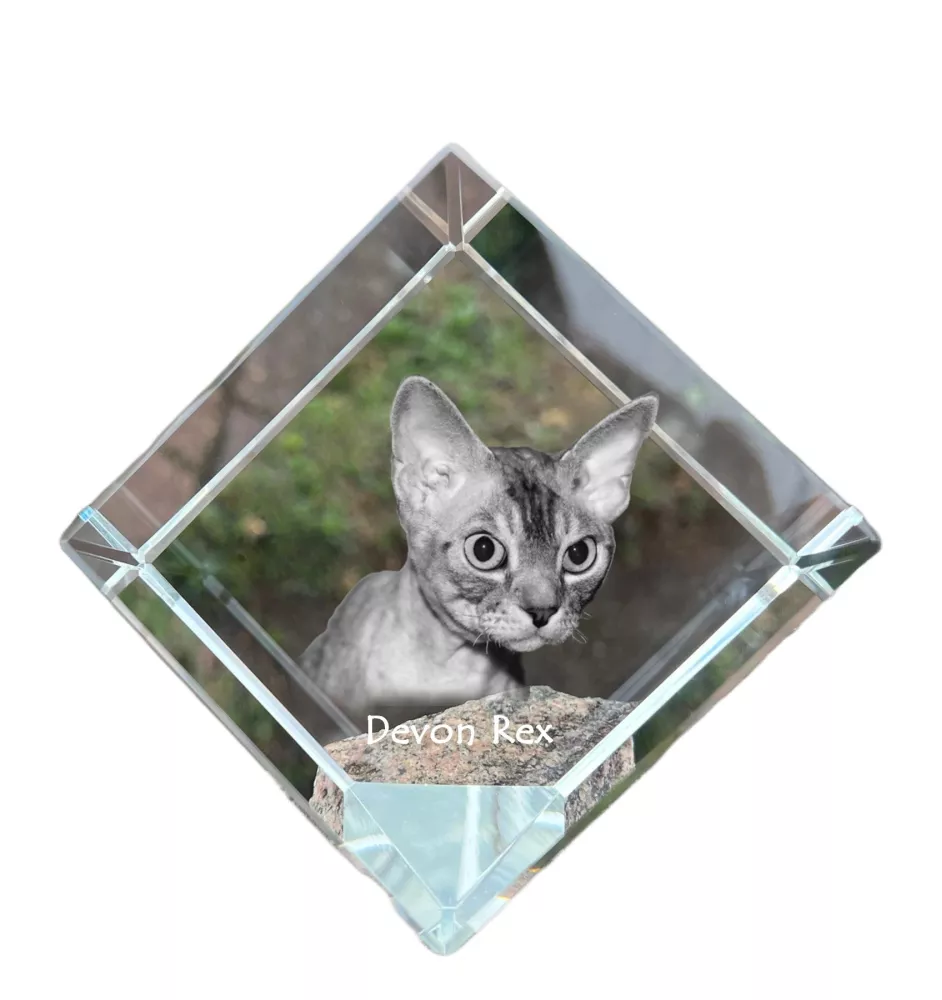 Devon Rex kostka kryształowa z kotem Art-Dog