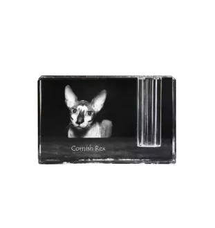 Cornish Rex - Porte-stylos, organiseur en cristal avec photo de chat, décoration de bureau unique par la marque Art-Dog