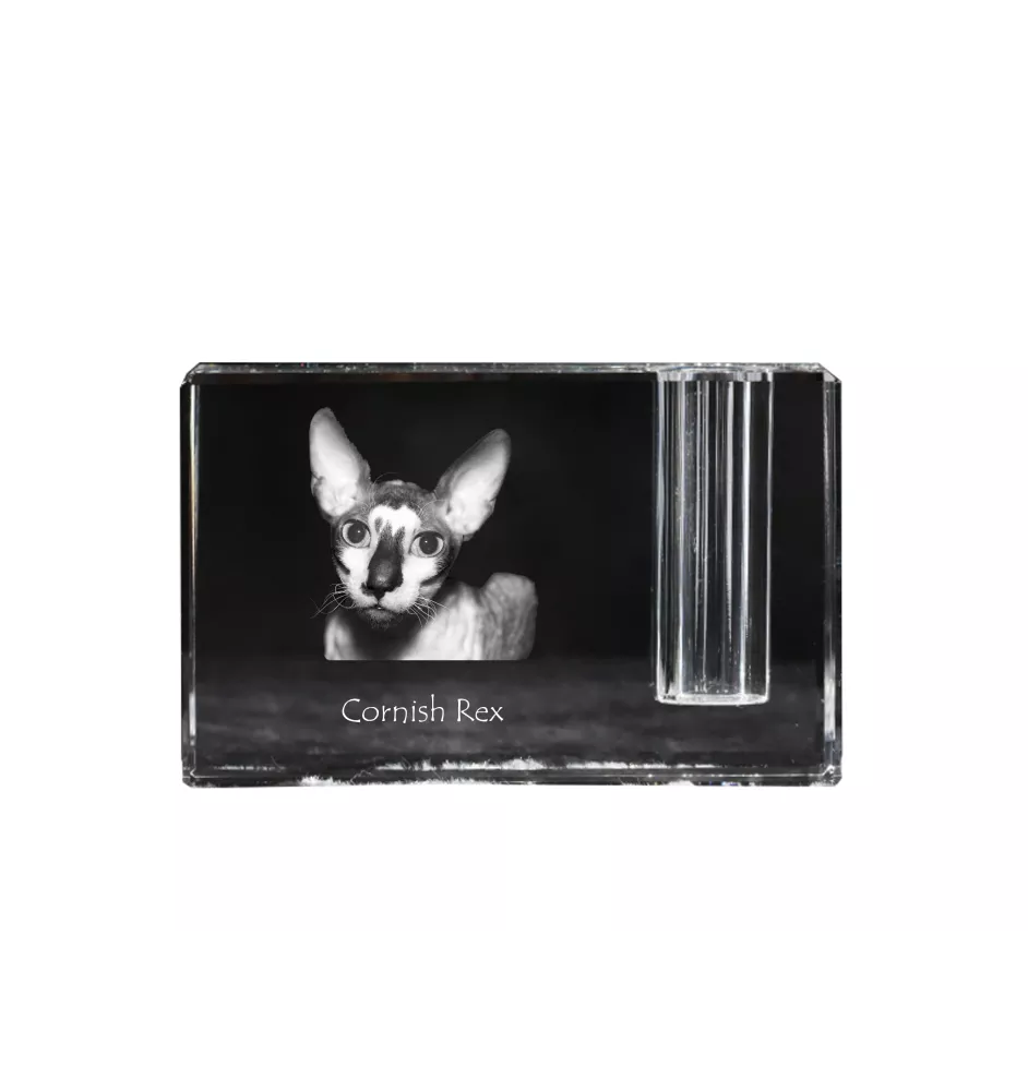 Cornish Rex - Porte-stylos, organiseur en cristal avec photo de chat, décoration de bureau unique par la marque Art-Dog