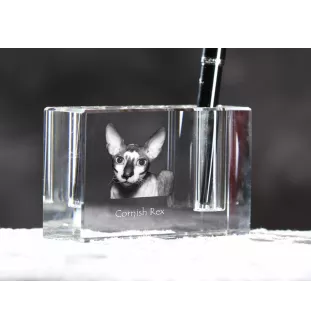 Cornish Rex - Pen stand, crystal organiser with cat photo, unique desk decoration by Art-Dog brand