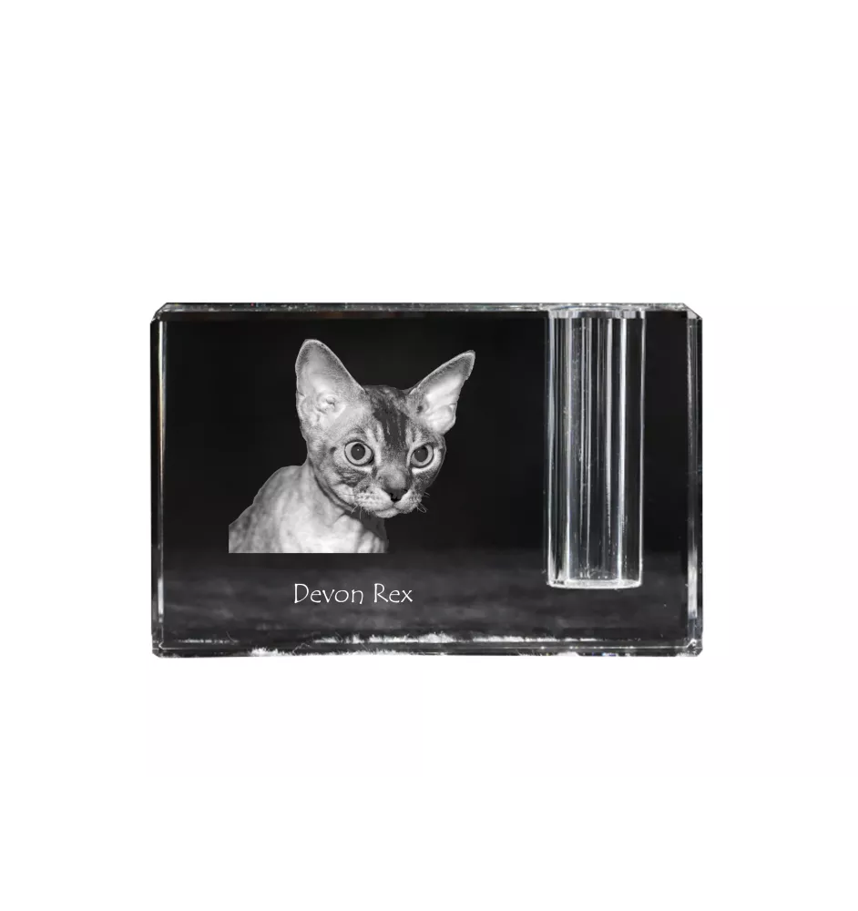 Devon Rex - Pen stand, crystal organiser with cat photo, unique desk decoration by Art-Dog brand