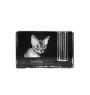Devon Rex - Porte-stylos, organiseur en cristal avec photo de chat, décoration de bureau unique par la marque Art-Dog