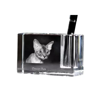 Devon Rex - Pen stand, crystal organiser with cat photo, unique desk decoration by Art-Dog brand