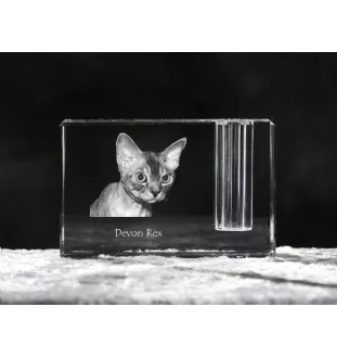 Devon Rex - Porte-stylos, organiseur en cristal avec photo de chat, décoration de bureau unique par la marque Art-Dog