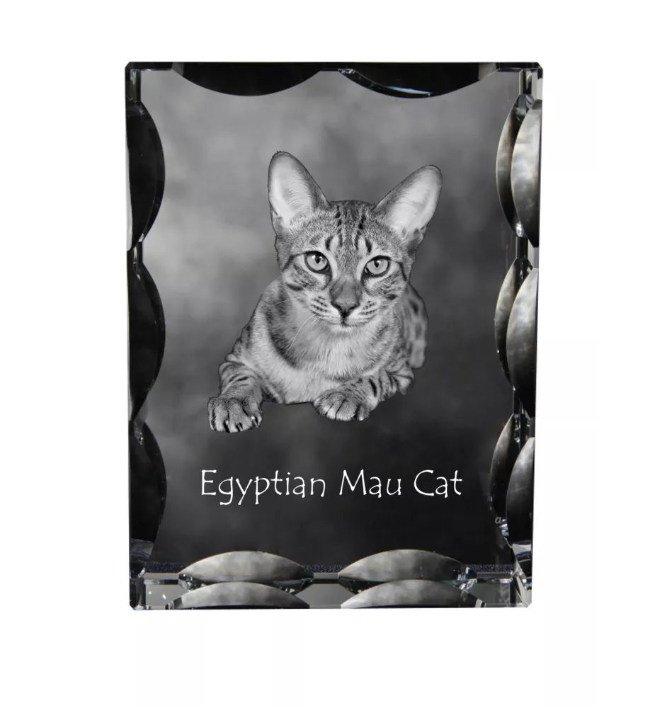 Egyptian Mau Cat - crystal with a cat picture, glass statuette with a picture, unique frame with a picture from Art-Dog brand