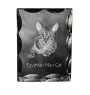Egyptian Mau Cat - crystal with a cat picture, glass statuette with a picture, unique frame with a picture from Art-Dog brand
