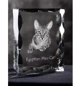 Egyptian Mau Cat - crystal with a cat picture, glass statuette with a picture, unique frame with a picture from Art-Dog brand