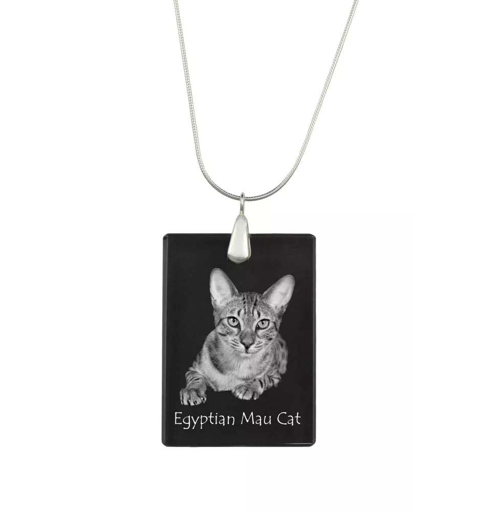 Chat Mau égyptien - Crystal pendant with cat, silver necklace with photo, personalised pendant by Art-Dog brand
